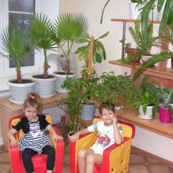 Why is a parent’s corner needed in the garden and what should it be like? A modern corner for parents in kindergarten