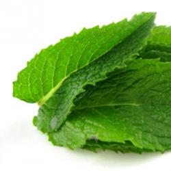 Mint for the face - effective home recipes Mint face masks